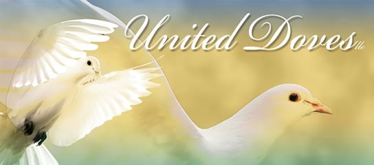 White Dove Releases Wedding Doves Funeral Doves Dove Franchises Home