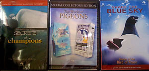 DVD - 3 Collector's Edition DVDs about Pigeons