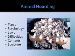 Animal Hoarding