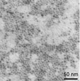 copper nanopowder, copper nanoparticles