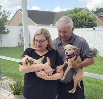 Florida Little Dog Rescue Group - Before and After