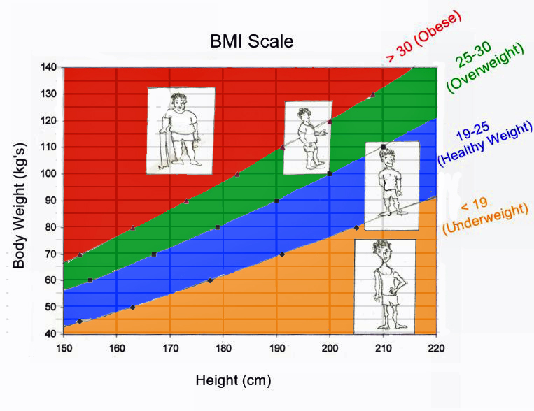 Body Mass Index ( BMI ) Graph