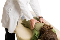 Chiropractor working on someone's back muscles