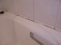 Mould in Bathroom