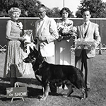 Grand River Kennel Club 1950