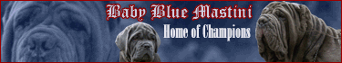 LINK TO OUR WEBSITE