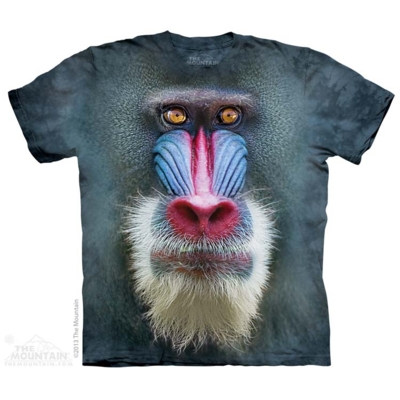 Chimp T Shirts - The Mountain T Shirts - Head Space Stores