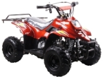 Best Selling KIDS ATV All Time! - Free Home Delivery!