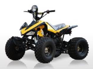 Youth 125cc ATV Fully AutoMatic BMS