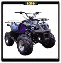 110CC TRAIL ATV - FREE SHIPPING - ON SALE NOW