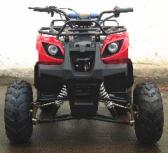 125cc Youth ATV - All the best of the best!