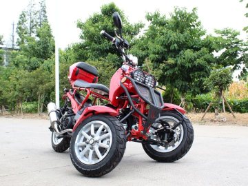 Dongfang 50cc reverse trike on sale at www.countyimports.com