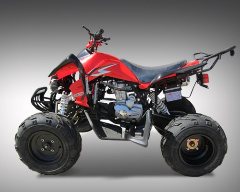 250cc ATV for sale at www.countyimports.com