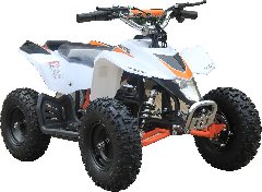 110cc Youth ATV - All the best of the best!