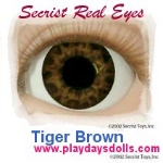 Tiger Eye Brown Real Eyes Brand Eyes