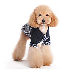 male dog sweaters