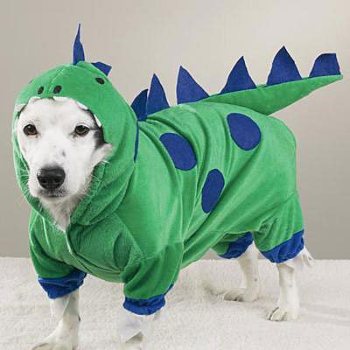  Green dinosaur dog costume