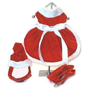Red Velvet Santa Girl Dog Dress