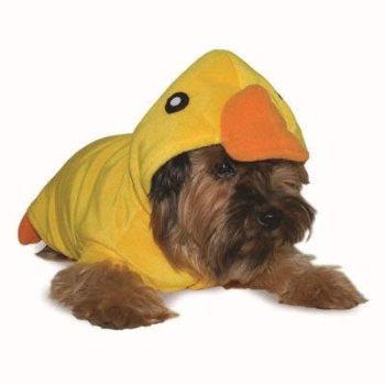 yellow Duckling Coat or costume for Easter