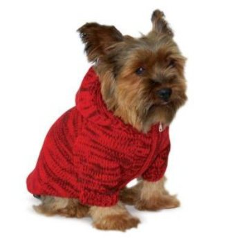 cqashmere hooded dog sweater in beige blue or red