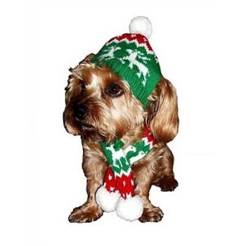 dallas dog Red Holiday Dog Hat and Candy Cane Scarf