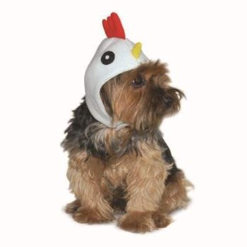  Rooster Hat with velcro closure for dogs