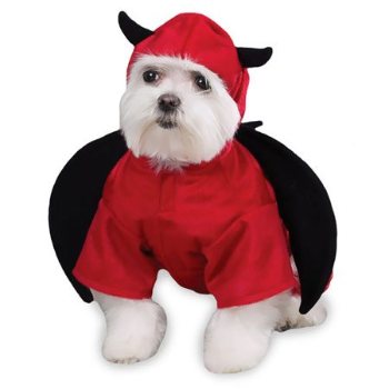 red and black winged Devil costume for dogs