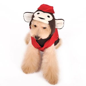 Dogo Pet Circus Monkey Sweater Costume