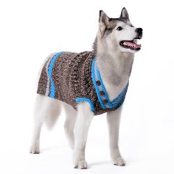 Shop For Fall And Winter Boy Dog Sweaters