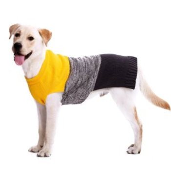 color block grey black and yellow dog sweater