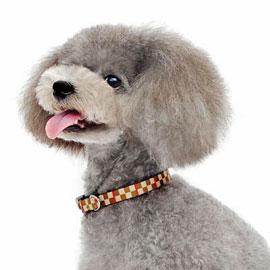 Dogo Design Contempo Dog Collar