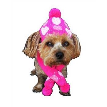 Pink Hearts Dog Hat & Scarf