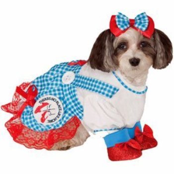 Dorothy from The Wizard of Oz Girl Pet Costume
