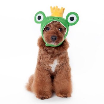 green frog hat for dogs