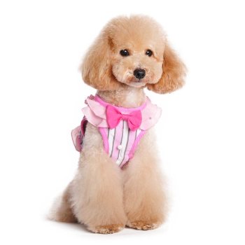 pink and white striped SweetBow ruffled dog Harness