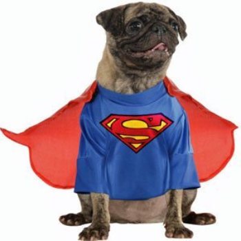 Superman dog costume