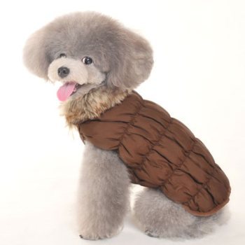 Ruched brown dog Bubble Jacket
