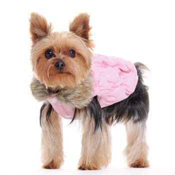 pINK dOG ruched bUBBLE jACKET
