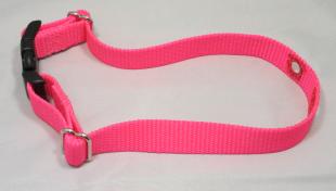 Neon Pink Nylon Replacement Dog Collar