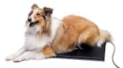 K&H Manufacturing Lectro Kennel Heated Pad 