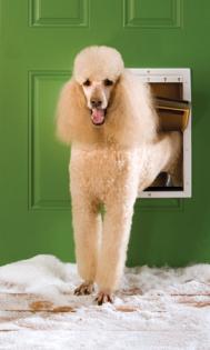 PetSafe Extreme Weather Dog Door - Large