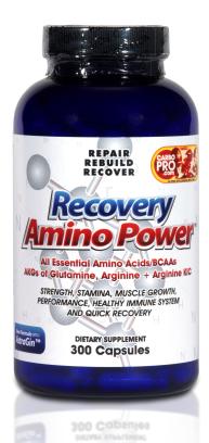 Recovery Amino Power SportQuest Direct