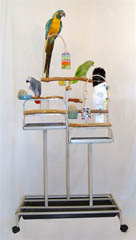Mango Pet Deluxe Foraging Station playstand for birds