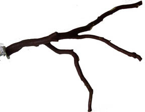 Natural Manzanita Branched Bird Perch