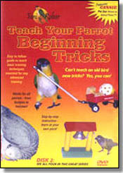 Teach Your Parrot - Beginning Tricks DVD