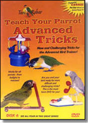 Teach Your Parrot - Advanced Tricks