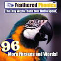 Feathered Phonics CD Vol. 4 Phrases and Words to teach pet birds