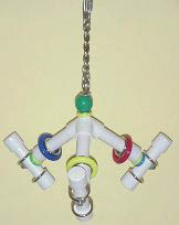 Parrot Party Small Tri-Fun Forever Bird Toy