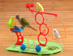 Natures Instinct Birdie Basketball and Training Gym for small birds