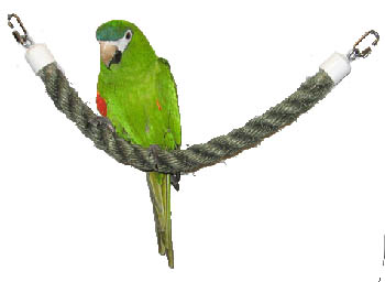 Pet Vision SisalPerch-Swing for medium to large size birds